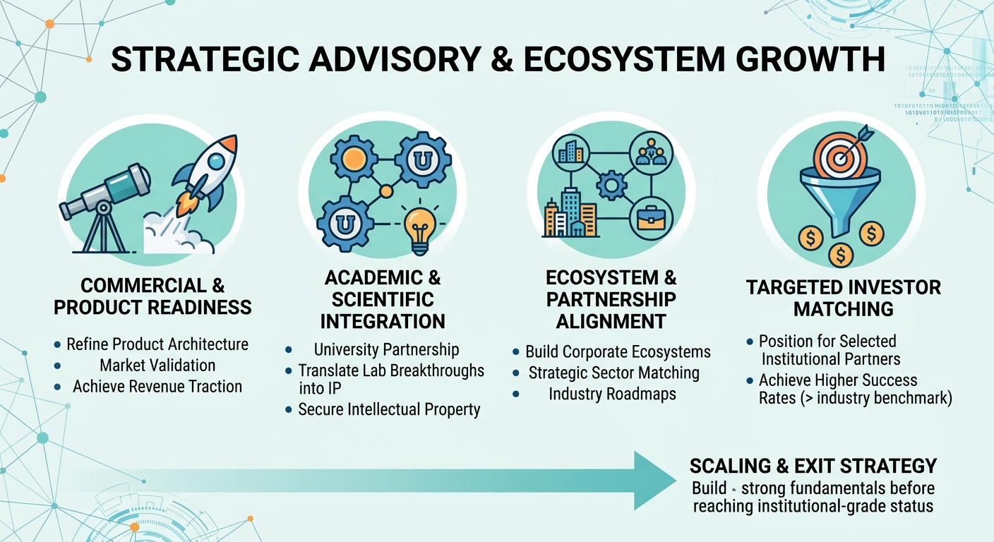 Strategic Advisory Beyond Traditional Venture Capital for Scale-Ups and Research Spin-Outs Italy